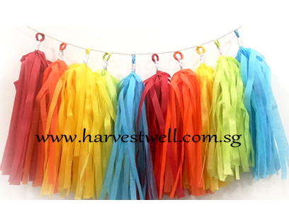 Rainbow Themed Tassel Garland